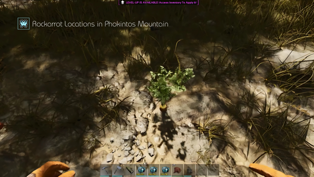 Rockarrot Locations in Phokintos Mountain